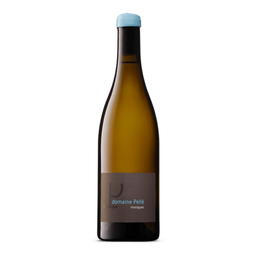 [Menetou Salon Morogues Domaine Pelle 2023] Pelle Morogues 23